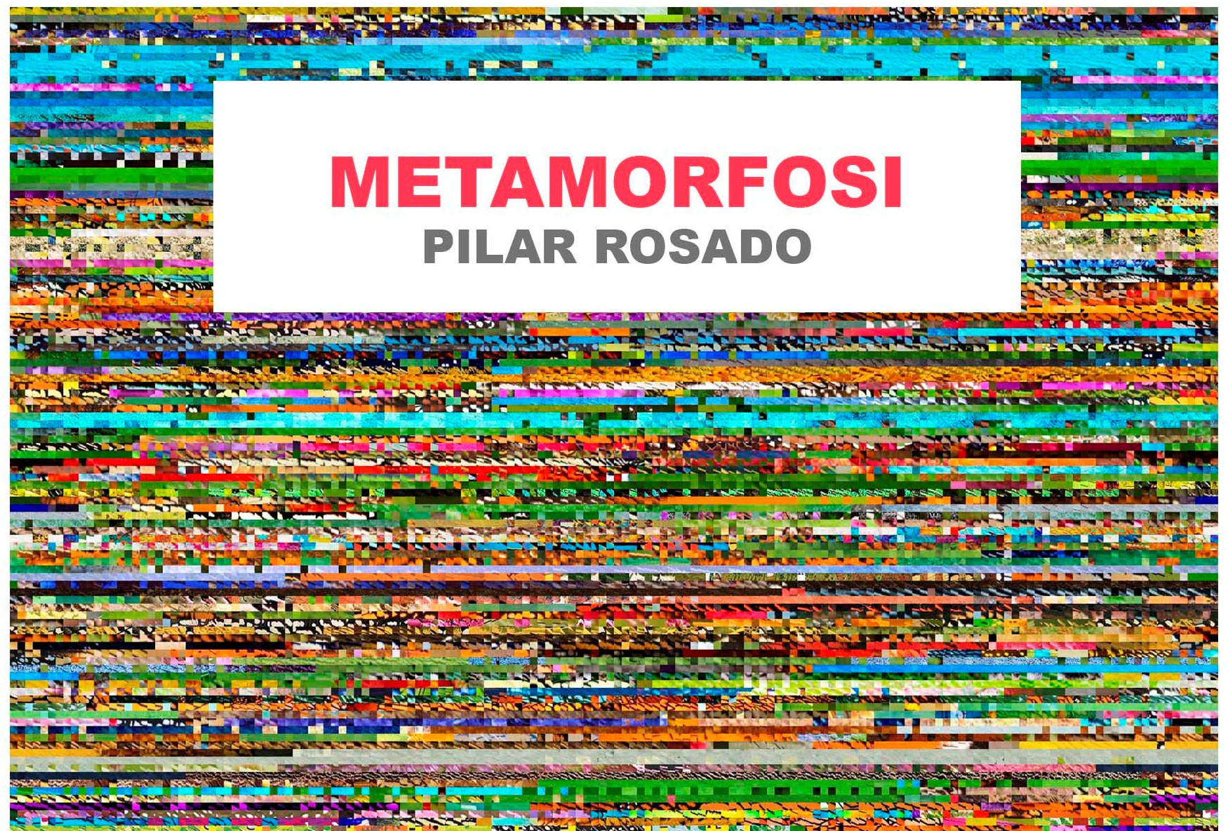 pilar rosado teknon (005)